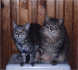 Lolita et Jessy