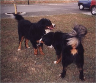 Romo et Madison